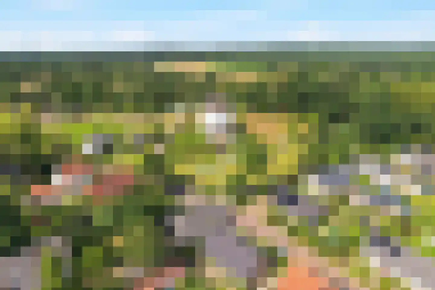 Meester Helmesstraat 2 Zeddam thumbnail 46
