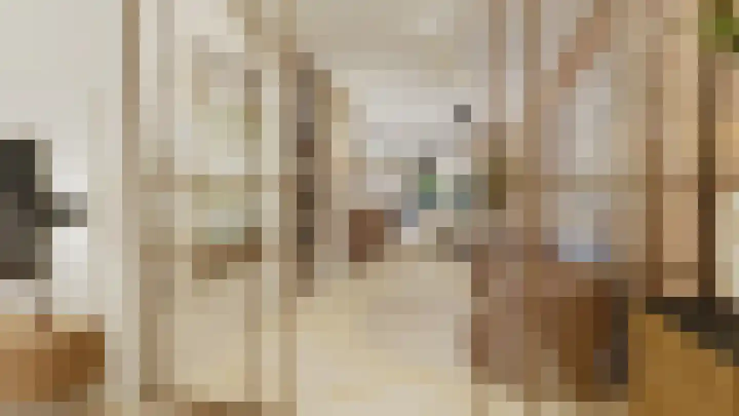 Meester Helmesstraat 2 Zeddam thumbnail 5