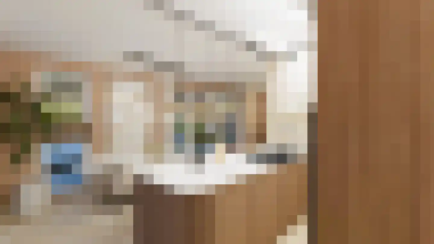 Meester Helmesstraat 2 Zeddam thumbnail 8