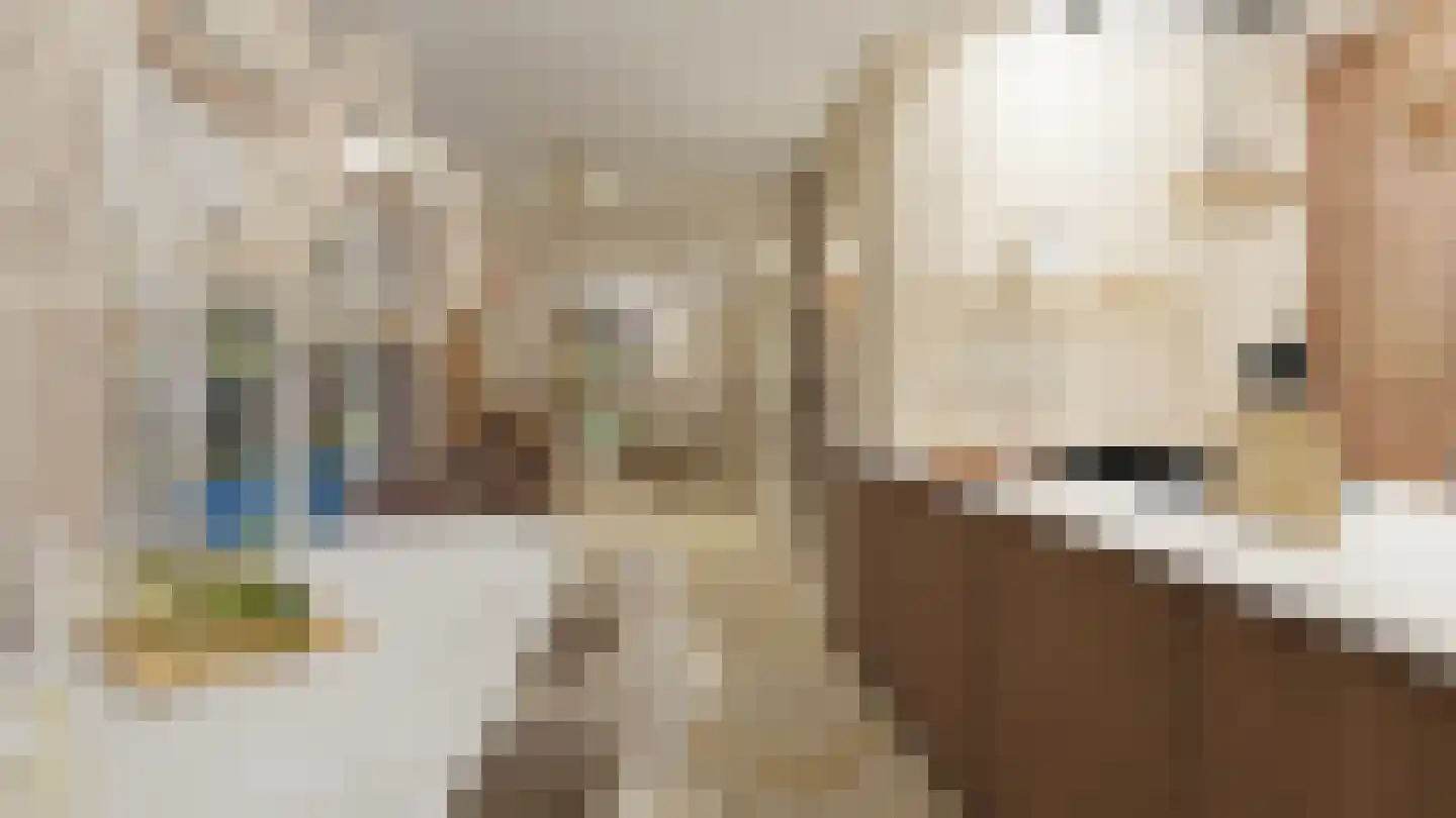 Meester Helmesstraat 2 Zeddam thumbnail 9