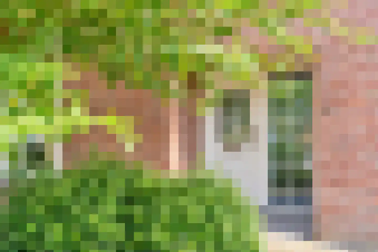 Meester Henckensstraat 6 Overloon thumbnail 7