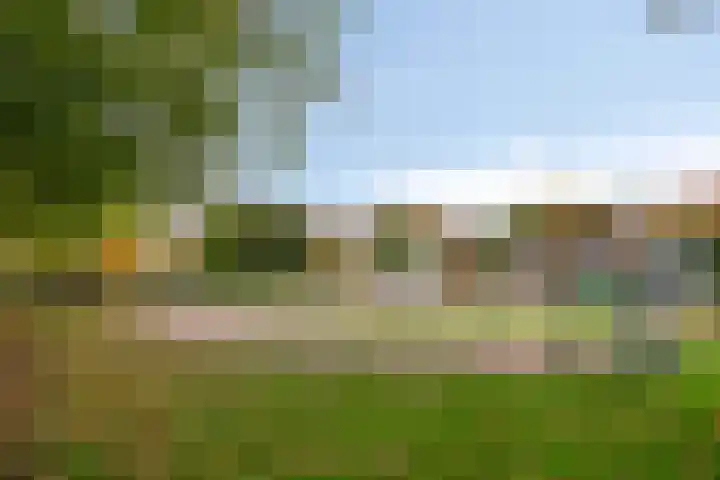 Meester Hertsigstraat 48 De Rips thumbnail 10