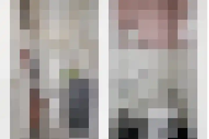 Meester Hertsigstraat 48 De Rips thumbnail 11