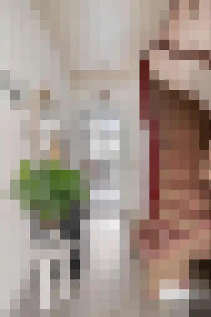 Meester Hertsigstraat 48 De Rips thumbnail 12