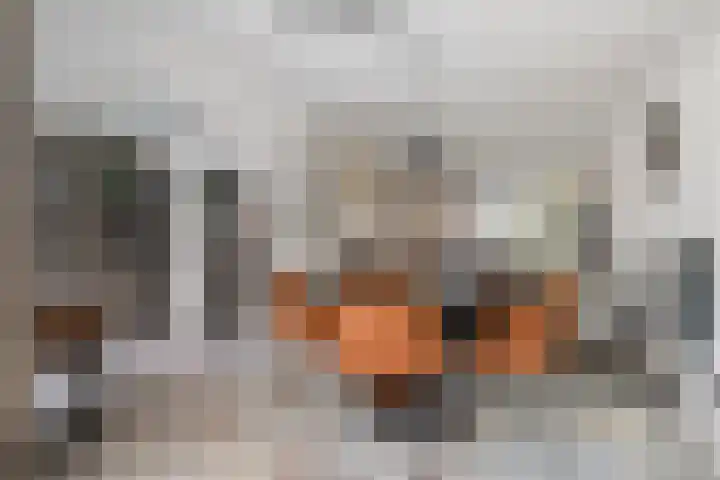 Meester Hertsigstraat 48 De Rips thumbnail 13