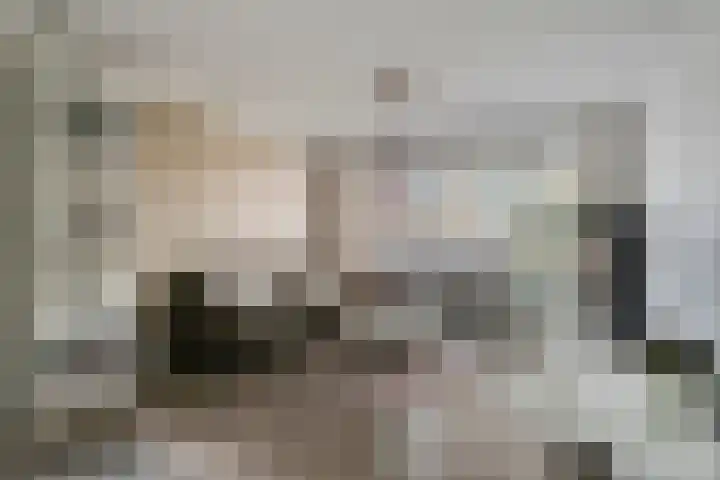 Meester Hertsigstraat 48 De Rips thumbnail 14