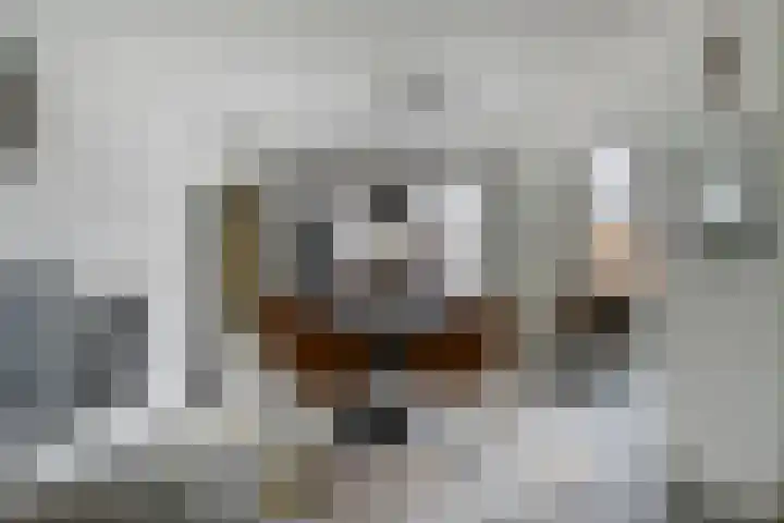 Meester Hertsigstraat 48 De Rips thumbnail 17