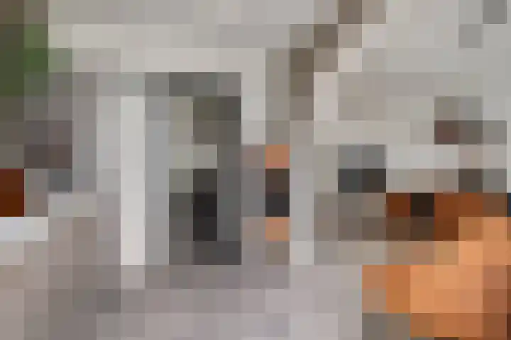 Meester Hertsigstraat 48 De Rips thumbnail 19