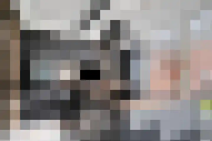 Meester Hertsigstraat 48 De Rips thumbnail 21