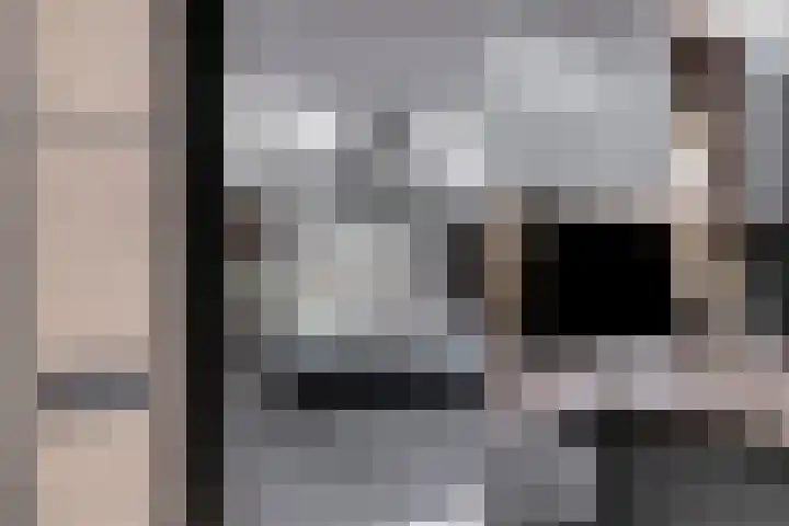 Meester Hertsigstraat 48 De Rips thumbnail 23