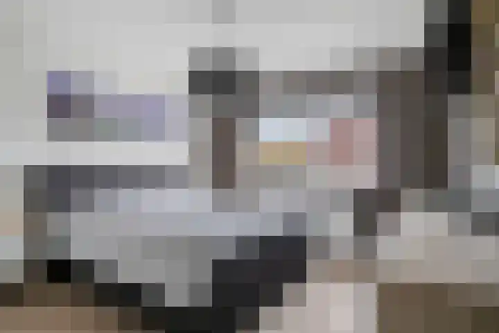 Meester Hertsigstraat 48 De Rips thumbnail 24
