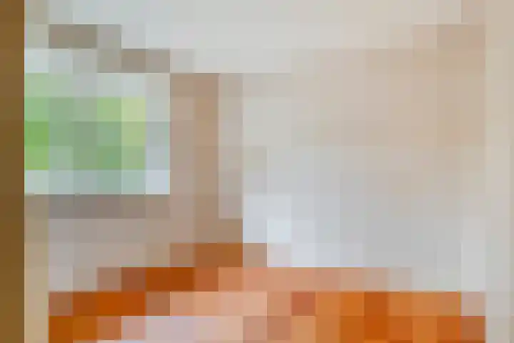 Meester Hertsigstraat 48 De Rips thumbnail 26