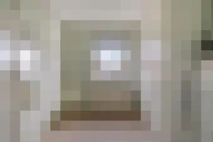 Meester Hertsigstraat 48 De Rips thumbnail 28
