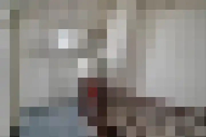 Meester Hertsigstraat 48 De Rips thumbnail 31