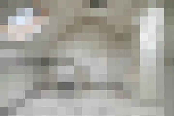 Meester Hertsigstraat 48 De Rips thumbnail 33