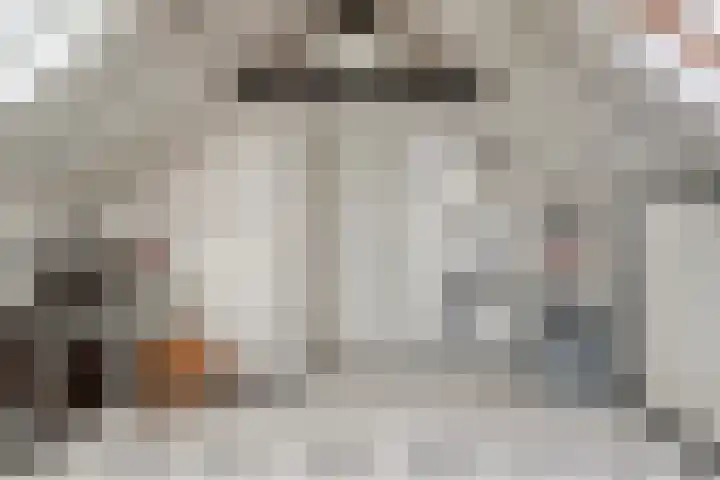 Meester Hertsigstraat 48 De Rips thumbnail 34