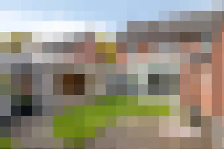 Meester Hertsigstraat 48 De Rips thumbnail 35