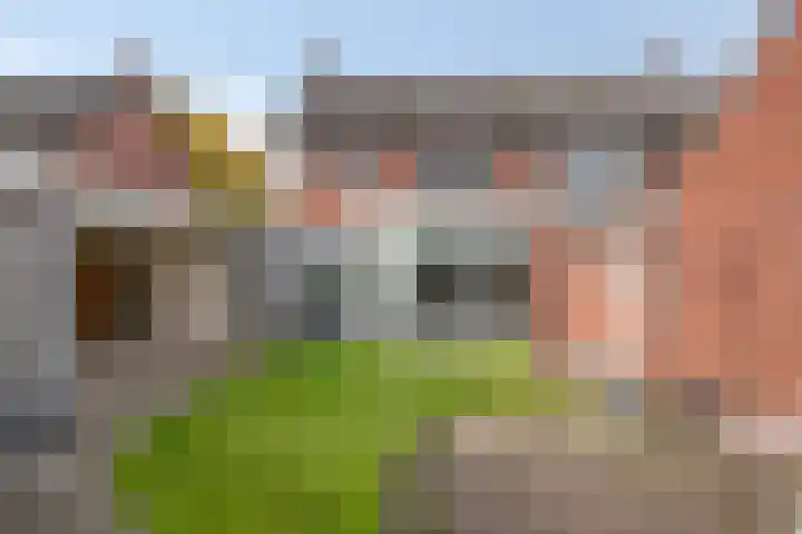 Meester Hertsigstraat 48 De Rips thumbnail 36