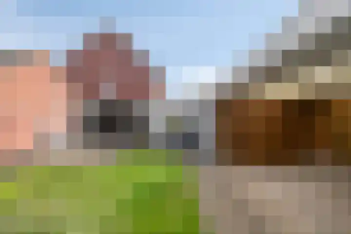 Meester Hertsigstraat 48 De Rips thumbnail 37