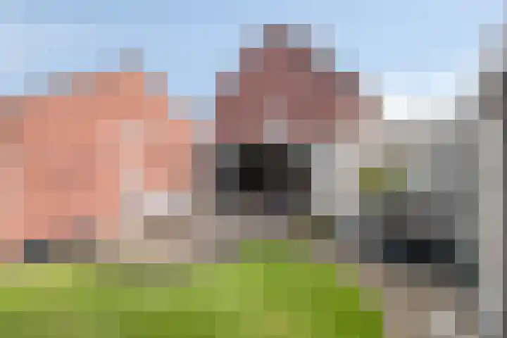 Meester Hertsigstraat 48 De Rips thumbnail 39