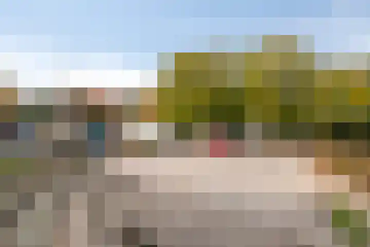 Meester Hertsigstraat 48 De Rips thumbnail 41