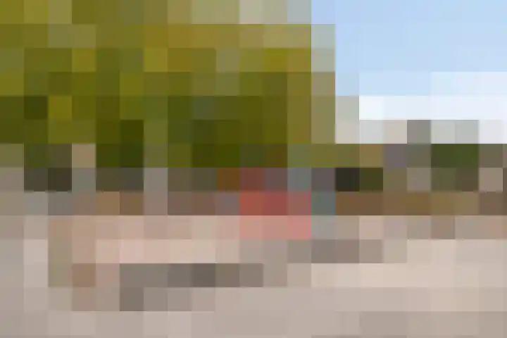 Meester Hertsigstraat 48 De Rips thumbnail 42