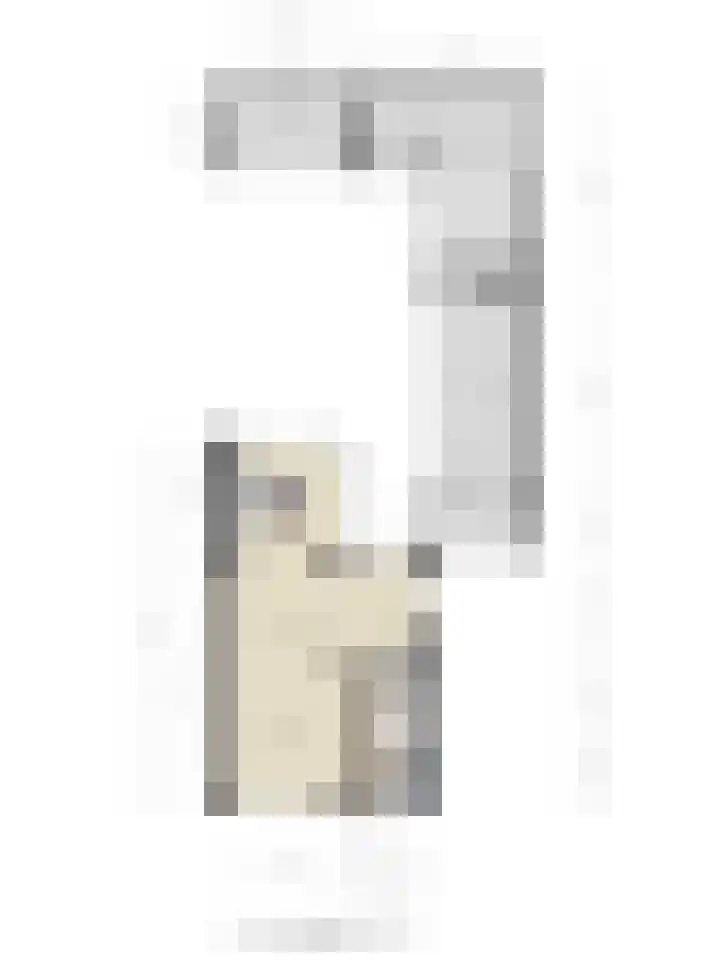 Meester Hertsigstraat 48 De Rips thumbnail 46