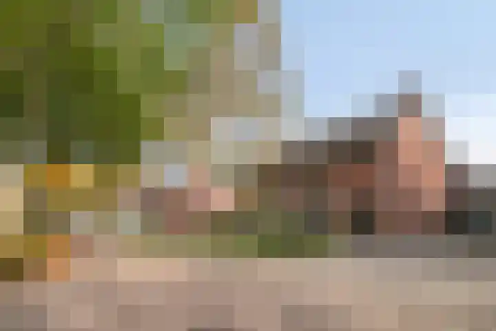 Meester Hertsigstraat 48 De Rips thumbnail 7