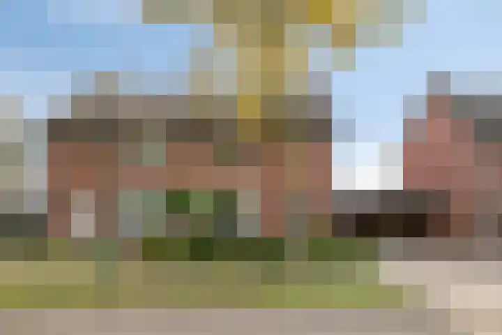 Meester Hertsigstraat 48 De Rips thumbnail 8