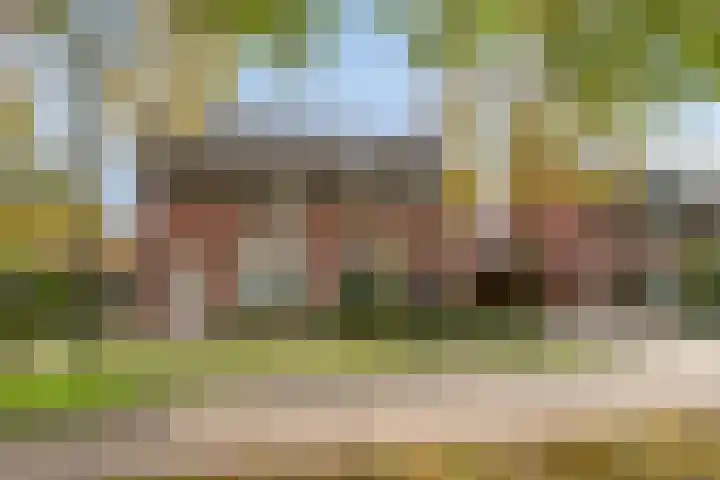 Meester Hertsigstraat 48 De Rips thumbnail 9