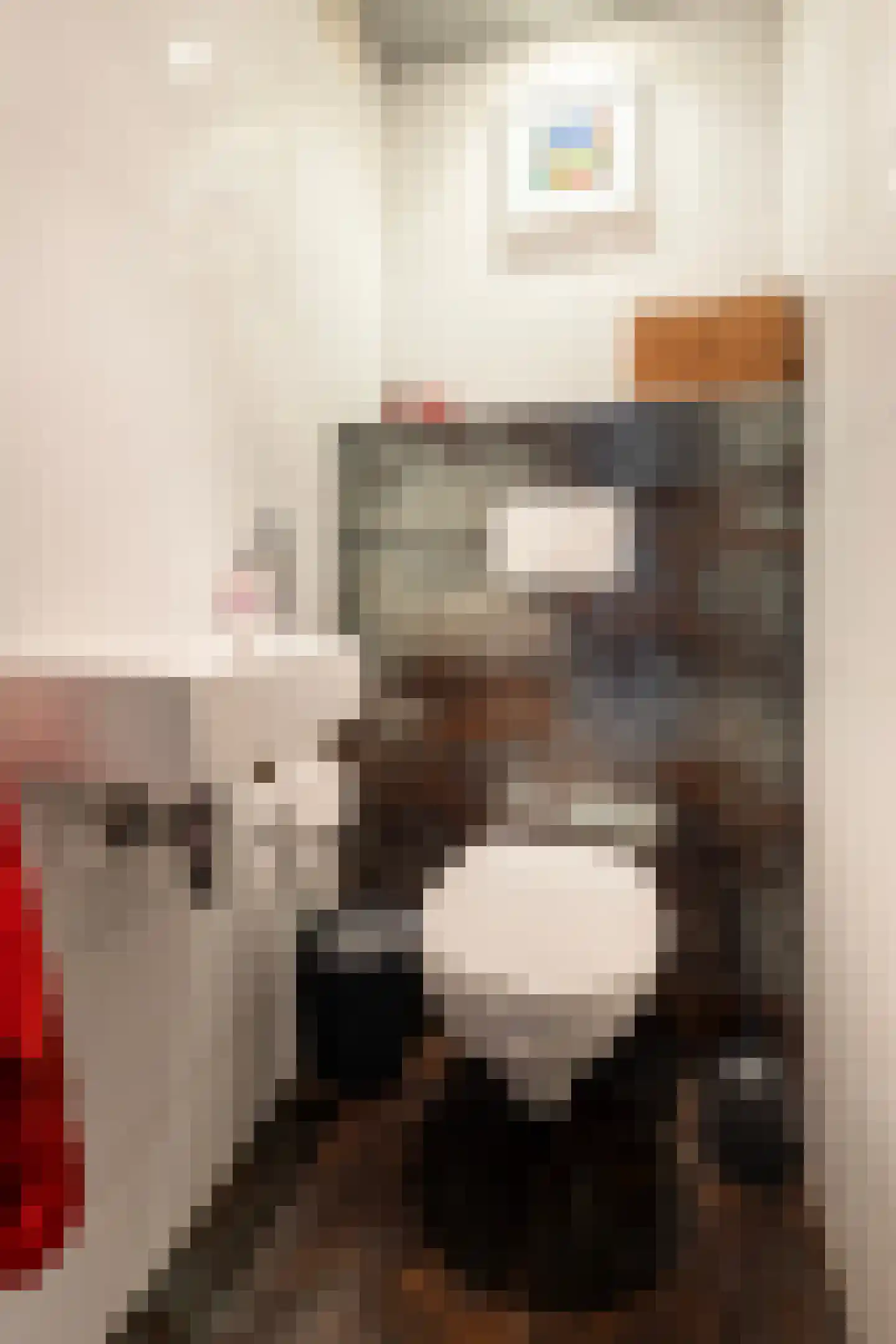Meester Hodesstraat 22 Bornerbroek thumbnail 10