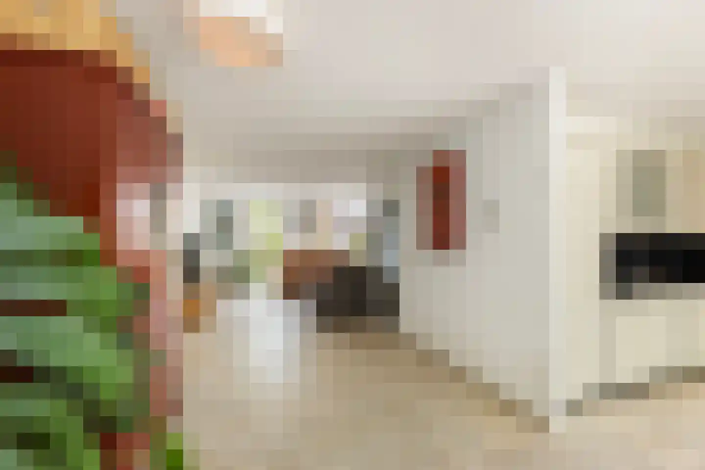 Meester Hodesstraat 22 Bornerbroek thumbnail 12