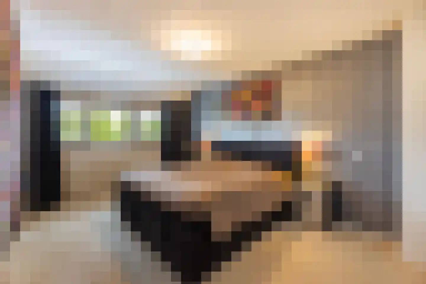 Meester Hodesstraat 22 Bornerbroek thumbnail 31