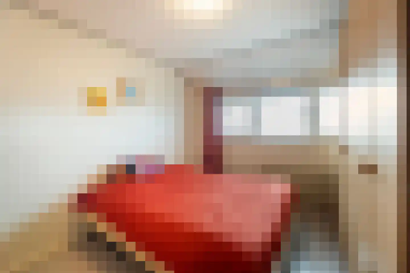 Meester Hodesstraat 22 Bornerbroek thumbnail 33