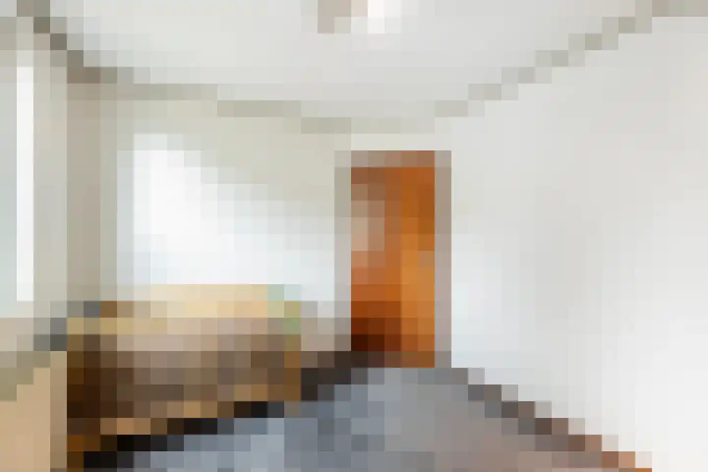 Meester Hodesstraat 22 Bornerbroek thumbnail 34