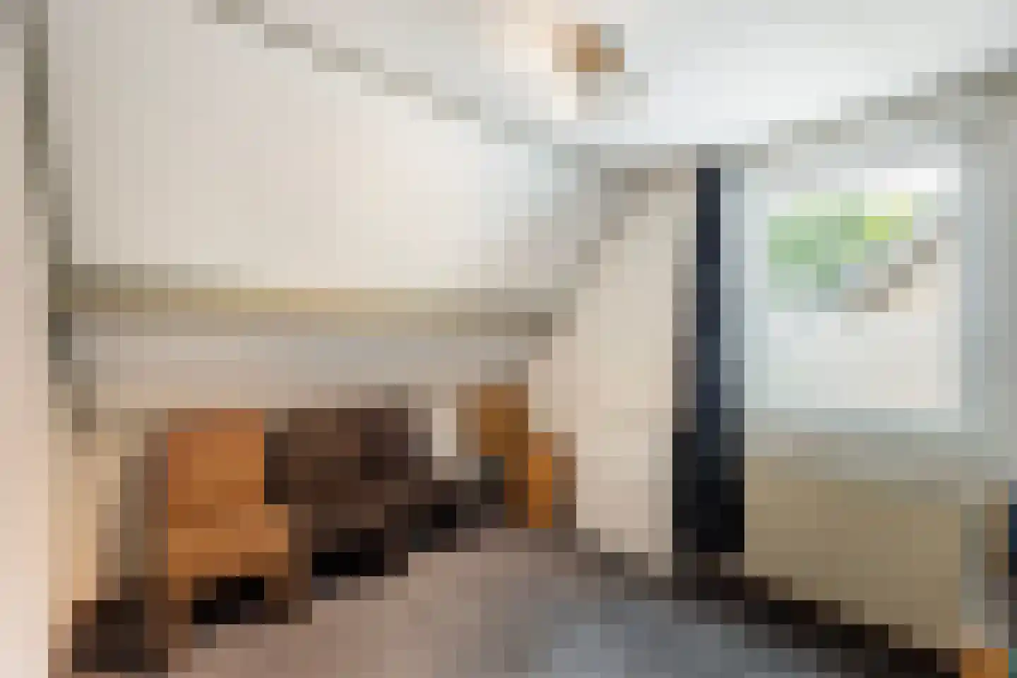 Meester Hodesstraat 22 Bornerbroek thumbnail 35