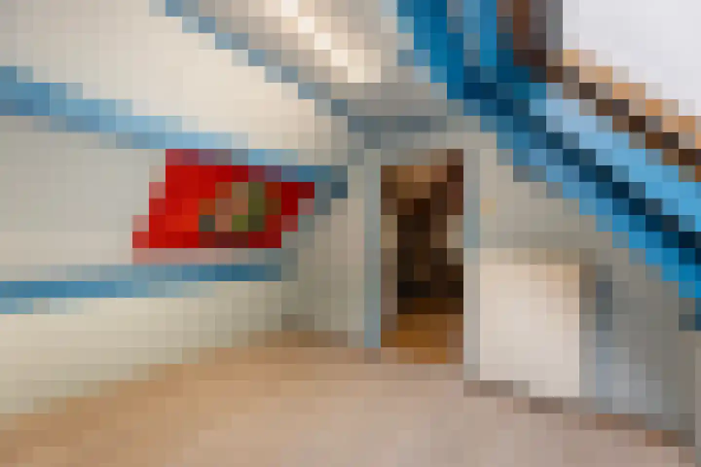 Meester Hodesstraat 22 Bornerbroek thumbnail 39