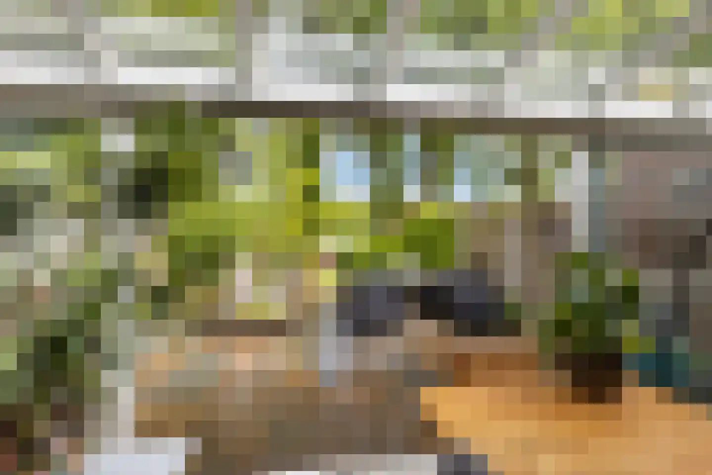 Meester Hodesstraat 22 Bornerbroek thumbnail 4