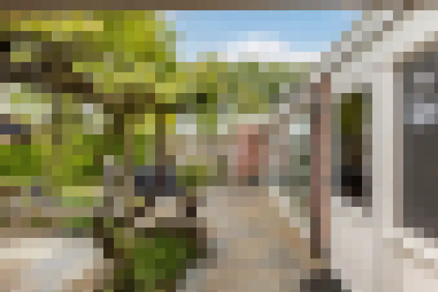 Meester Hodesstraat 22 Bornerbroek thumbnail 42