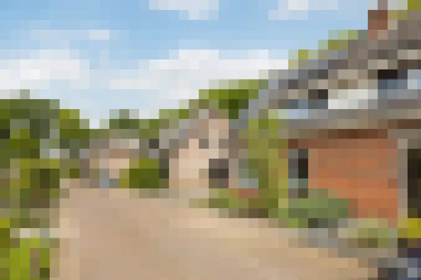 Meester Hodesstraat 22 Bornerbroek thumbnail 6
