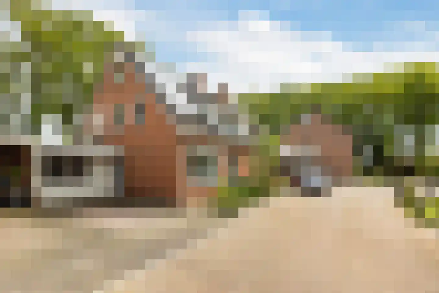 Meester Hodesstraat 22 Bornerbroek thumbnail 7