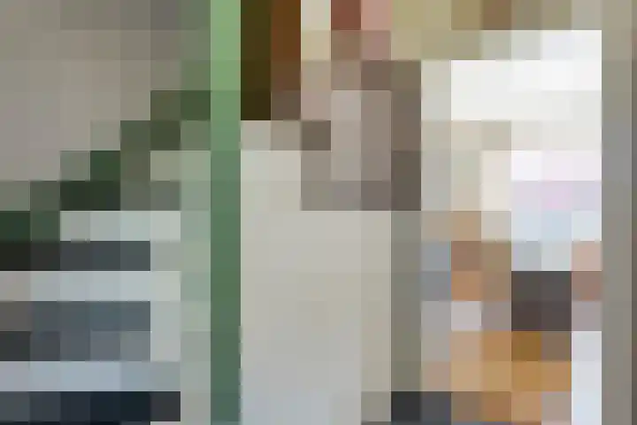 Meester Hoekstrastraat 2 Vledderveen thumbnail 10