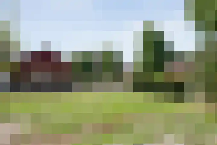 Meester Hoekstrastraat 2 Vledderveen thumbnail 29