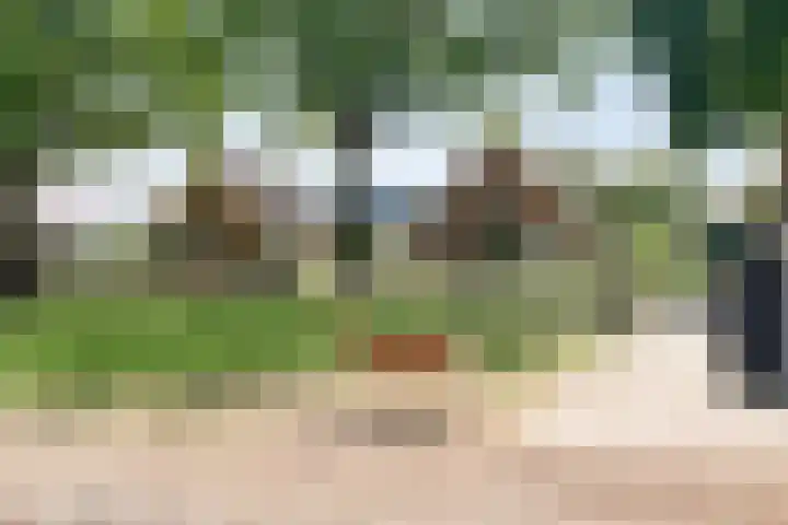 Meester Hoekstrastraat 2 Vledderveen thumbnail 34