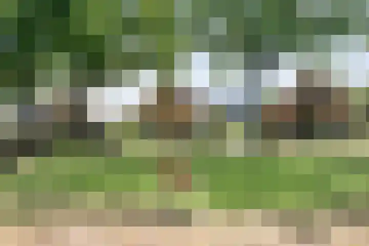 Meester Hoekstrastraat 2 Vledderveen thumbnail 35