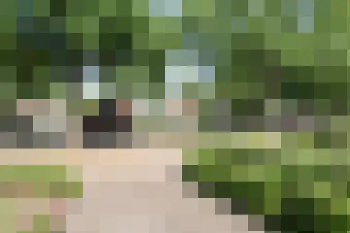 Meester Hoekstrastraat 2 Vledderveen thumbnail 36