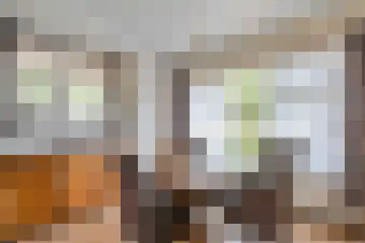 Meester Hoekstrastraat 2 Vledderveen thumbnail 4