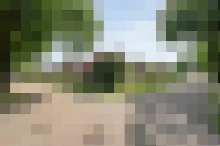 Meester Hoekstrastraat 2 Vledderveen thumbnail 7