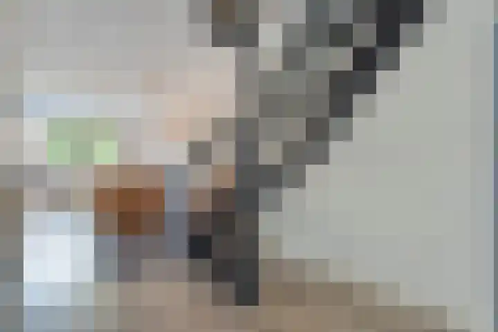 Meester Holtropstraat 10 Bruchterveld thumbnail 10