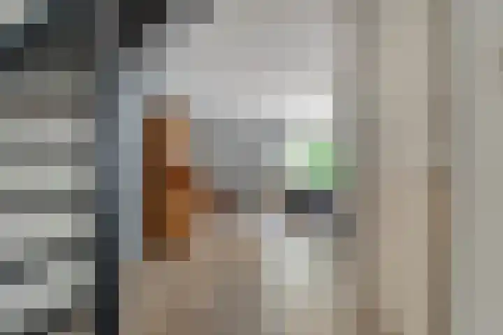 Meester Holtropstraat 10 Bruchterveld thumbnail 11